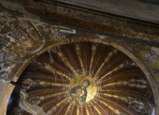 Doctor of Gladiators