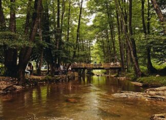 Private Houses in Ephesus