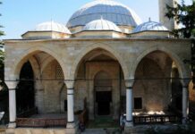 The Library in Pergamum