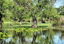 Commendation for the Church at Pergamum