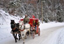 Signs of Losing First Love