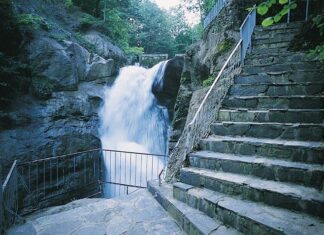 Hard Times During the Great Depression