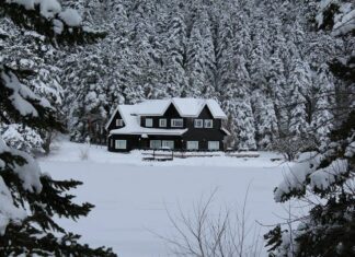 The Power of First Love