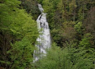 The Movement for Union in Eastern Rumelia