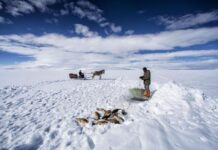 Why the Account of Egypt Can Be Trusted