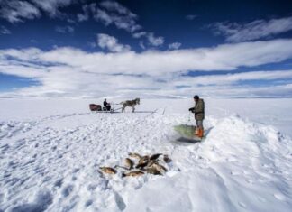 Why the Account of Egypt Can Be Trusted