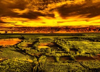 The Spartans Prepare to Attack Samos