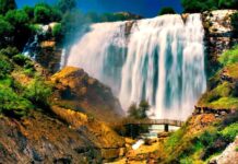 A Stranger Comes to Sardis