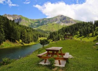 Croesus Refuses to Send His Son