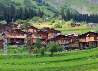 Atys Challenges His Father’s Fear