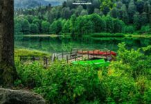 Croesus Honors the God of Delphi