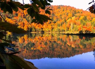 Gifts Sent by Croesus to the Oracles